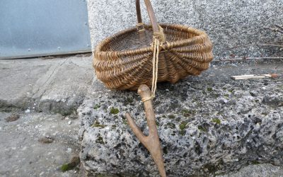 Ecomusée du Pays de la Roudoule (Alpes-Maritimes) / Programme du fonds européen LEADER GAL Préalpes d’Azur « Les variétés fruitières locales entre Var et Estéron : pépinière pour un développement local. » (2018-2020)