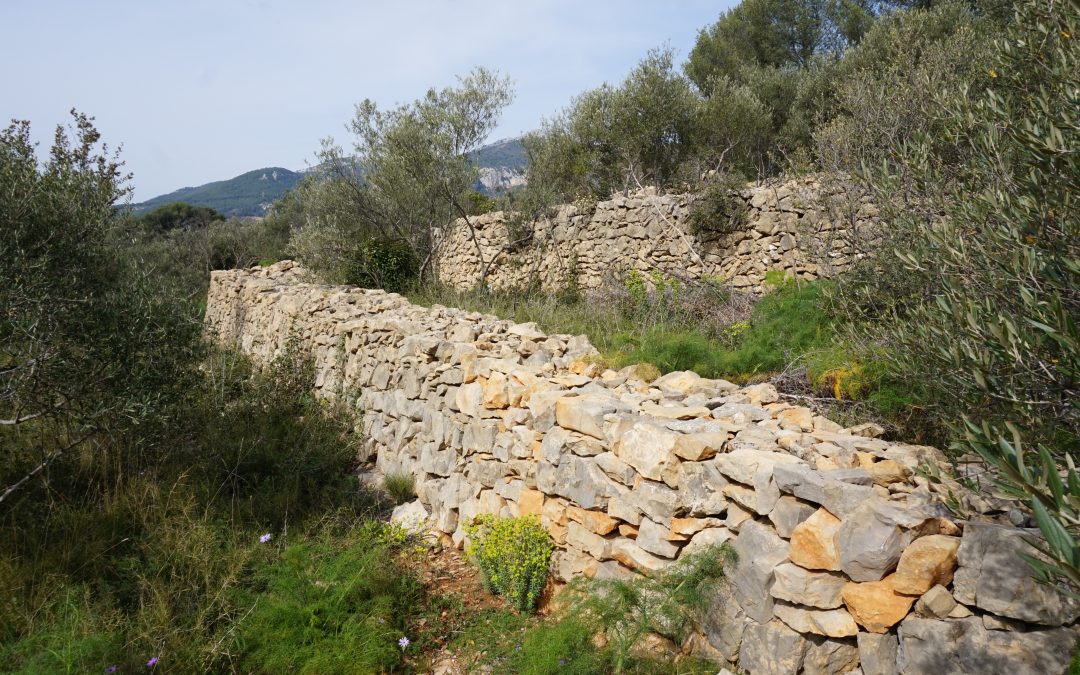 Conservatoire Méditerranéen Partagé / Métropole Toulon Provence Méditerranée (2021)