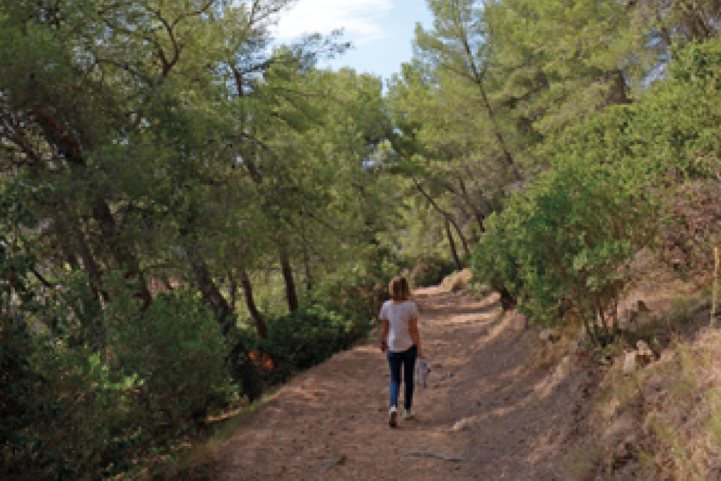 Conservatoire Méditerranéen Partagé / Commune de La Garde / 2022