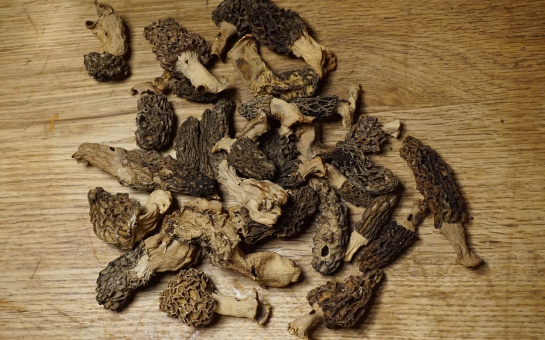 Communauté d’Agglomération du Pays de Grasse – Plan alimentaire territorial (2024-2025)