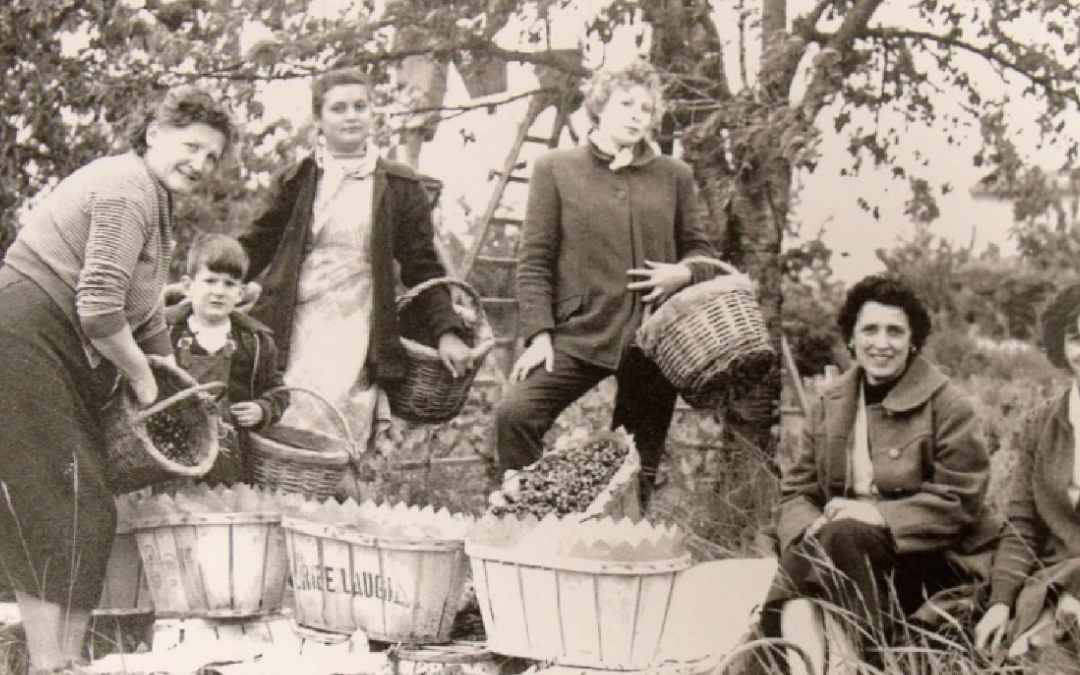 Collectif Les Résilients / Commune du Luc (Var) (2023-2024)