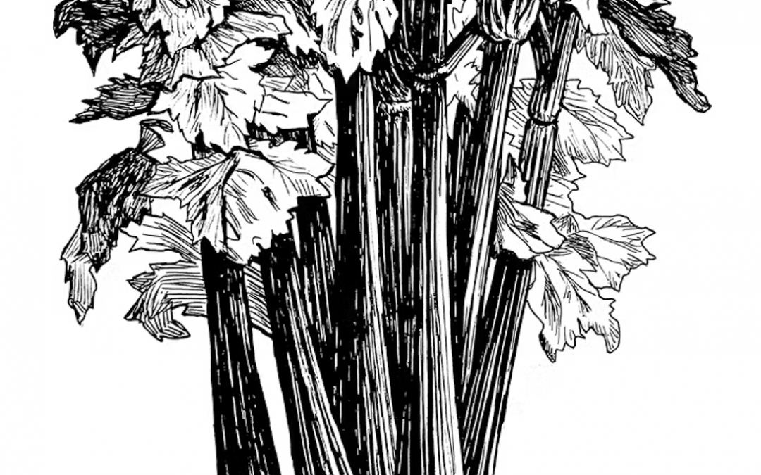 Union pour les Ressources Génétiques du Centre-Val-de-Loire (2025)