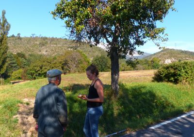 Mayer. P., Les Préalpes fruitières. Les variétés de fruits cultivées dans le Parc naturel Régional du Verdon, 19e – 20e siècles.