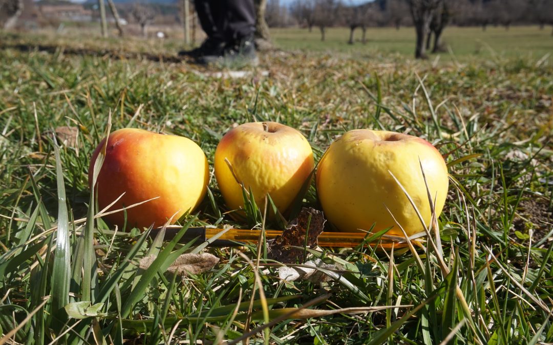 Association Val de Pom (2024)